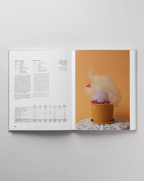 ESSENCE by JESÚS ESCALERA | Innovative Ice Creams and Frozen Desserts