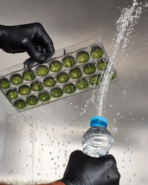 Offbeat by Andrey Dubovik | Techniques & Designs for Cutting-Edge Chocolate Bonbons [English & Spanish Edition]