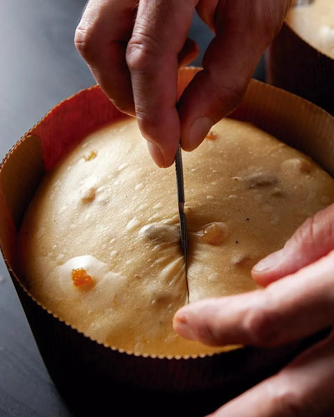 Remember 28ºC by Jose Romero | Understand Panettone