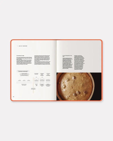 Remember 28ºC by Jose Romero | Understand Panettone